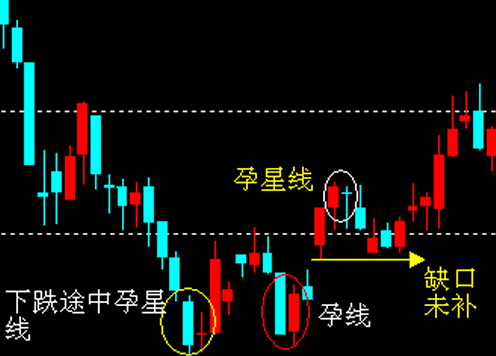 孕星線(xiàn)